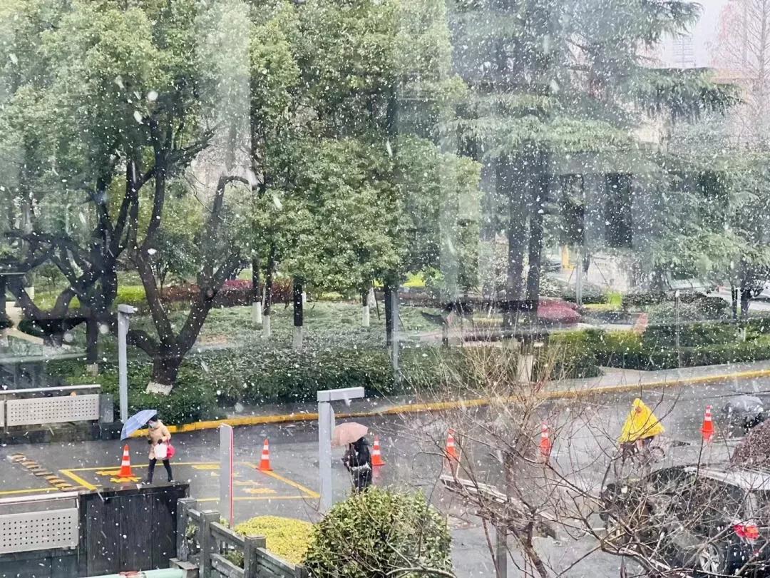 杭州最新氣象預報，掌握天氣變化，盡享西湖美景