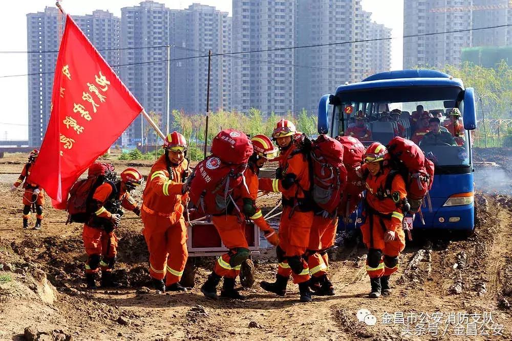 最新地震資訊與小巷深處的獨(dú)特小店探秘