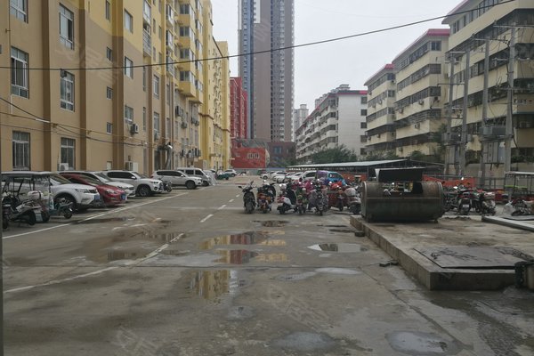 南陽瑞金福邸最新動態大全，全面指南與步驟詳解