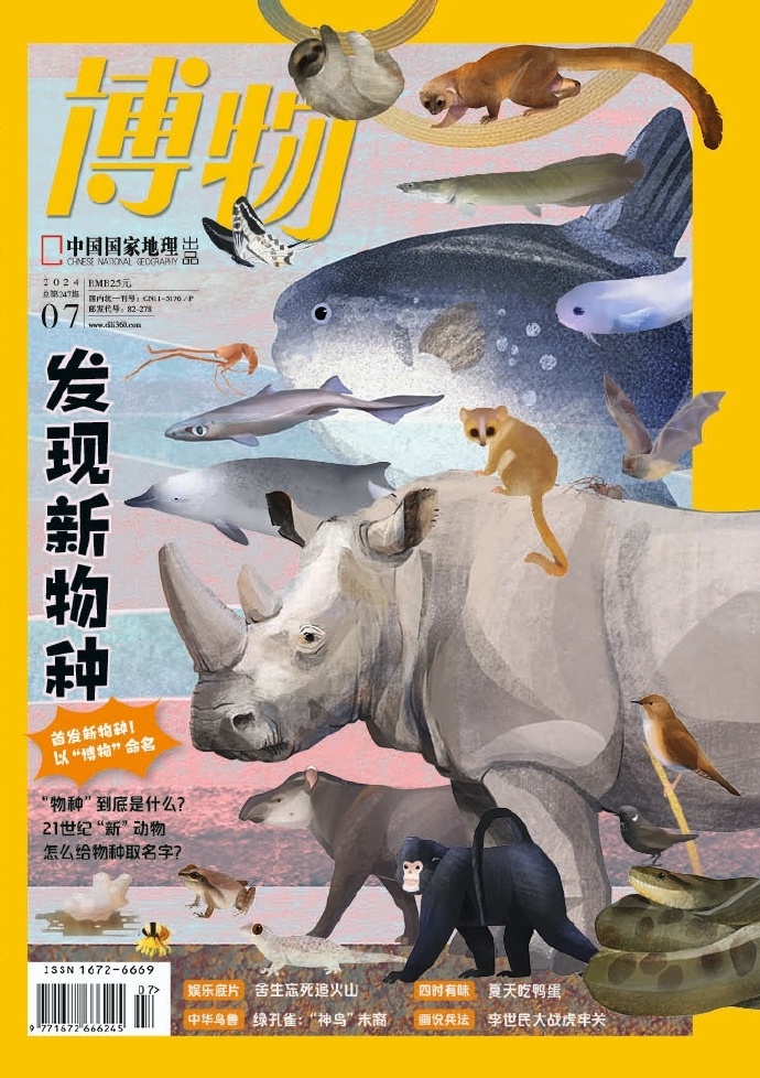 輕質建筑材料銷售 第126頁