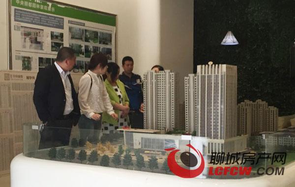 聊城樓市行情解析，購房時機的深度了解與把握策略