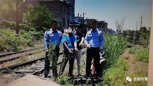曲周最新命案引發全城震驚，真相調查揭秘背后故事
