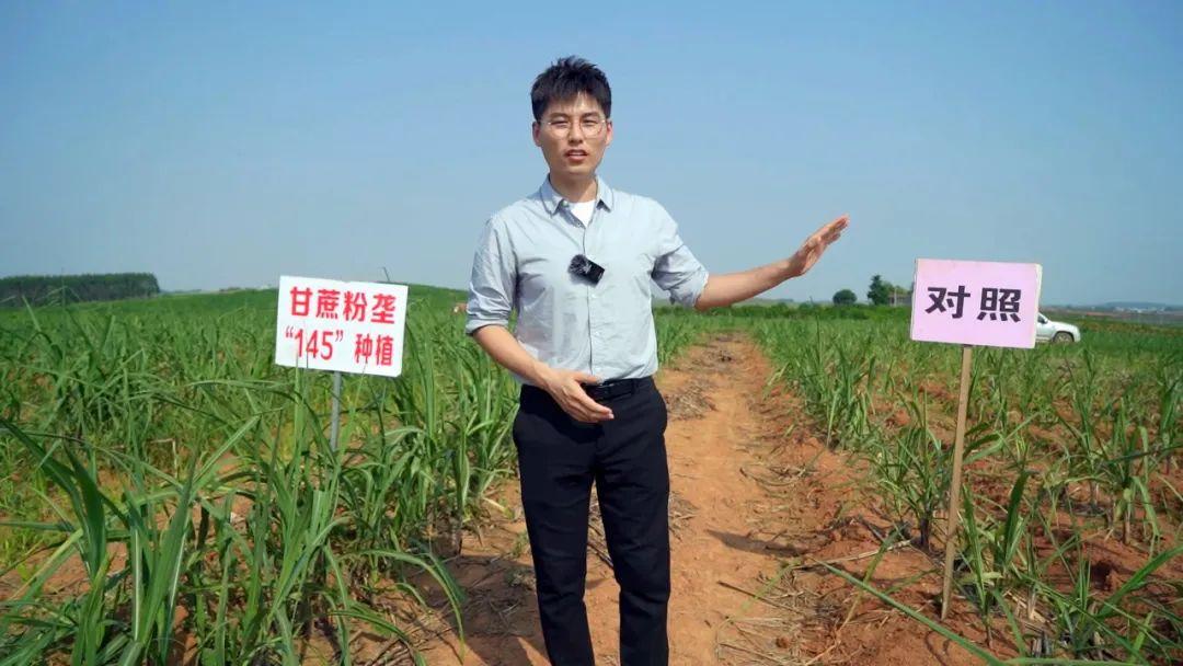 時代背景下的綠色革命，最新型農業的發展之路