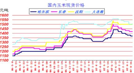 通化玉米最新價格動態及市場走勢分析與展望