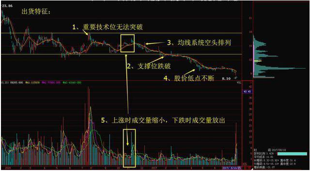如新股價行情深度解析，回顧、洞察與預測。