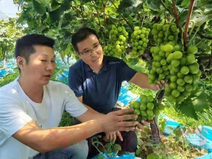 音樂上市公司，心靈與自然的交響之旅體驗