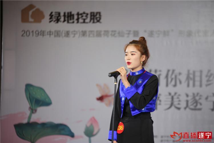52度荷花酒價格表詳解，深度分析與觀點闡述