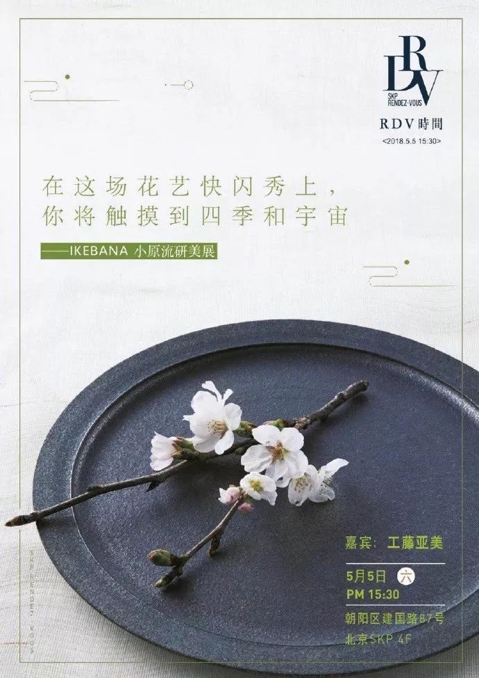 工藤美紗最新動態,工藤美紗最新動態，綻放的藝術之光