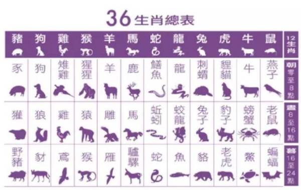 ＂2025十二生肖49個碼＂的：具象化表達解說_改進版4.24