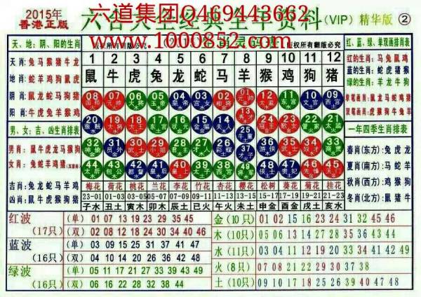 ＂2025十二生肖49碼表＂的：平衡計劃息法策略_1440p9.62