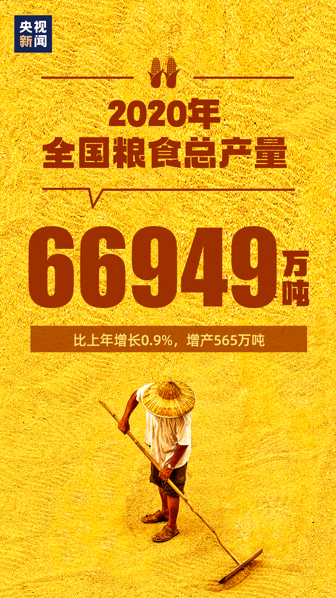 ＂2025澳門天天開好彩掛牌＂的：靈活執行方案_拍照版2.29