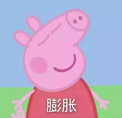 小豬佩奇演員，幕后英雄們的閃耀之光