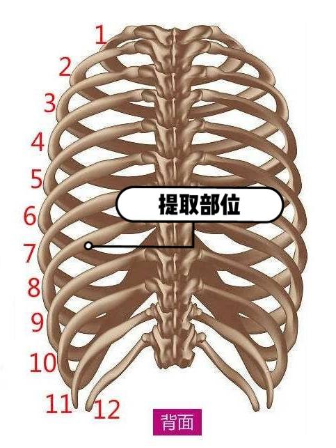 最新隆鼻材料盤點，時代之選，塑造完美鼻型的秘密武器