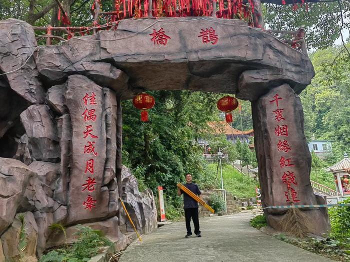 龔家龍最新動態揭秘，多維度視角下的深度觀察與解析