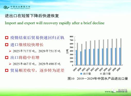 2025新澳精準資料大全,全方位數據解析表述_味道版18.467