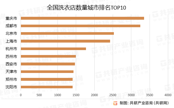 洗衣店行情深度剖析與解讀