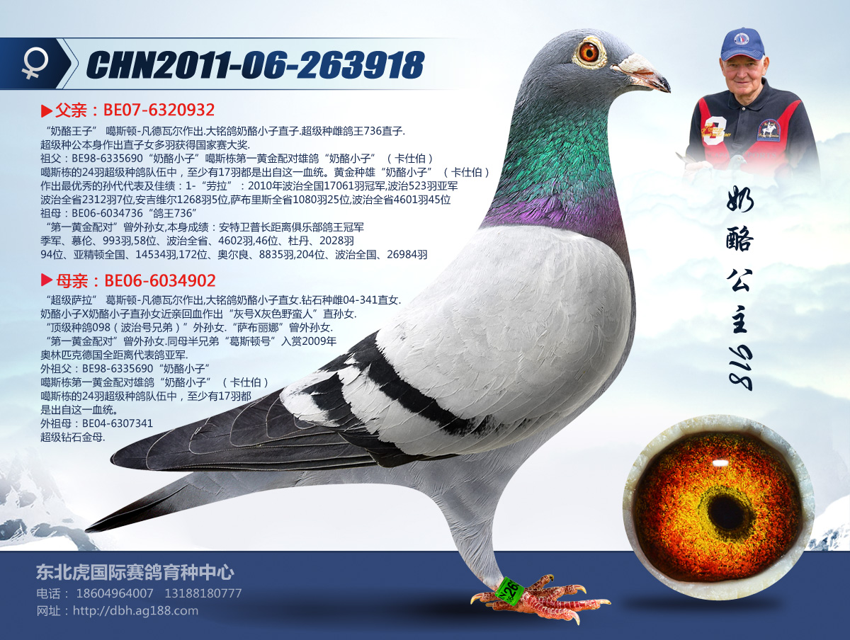 天門信鴿輝煌戰績震撼信鴿界，最新成績公布