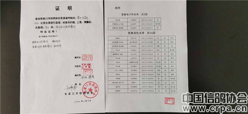 河北公棚最新通告發布