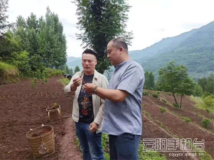 淮南制藥廠最新招聘信息與職業發展機遇概覽