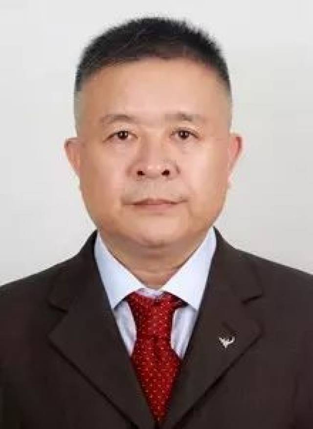 西雙版納干部公告揭秘，小巷深處的獨特小店探秘