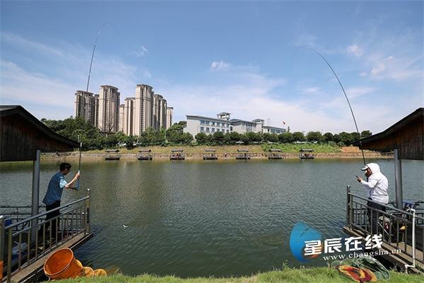 長(zhǎng)沙釣魚(yú)比賽，文化競(jìng)技盛宴開(kāi)啟，垂釣競(jìng)技展現(xiàn)風(fēng)采