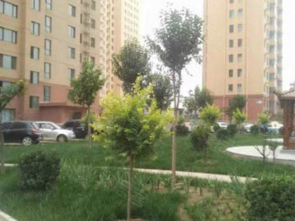 輕質建筑材料制造 第55頁