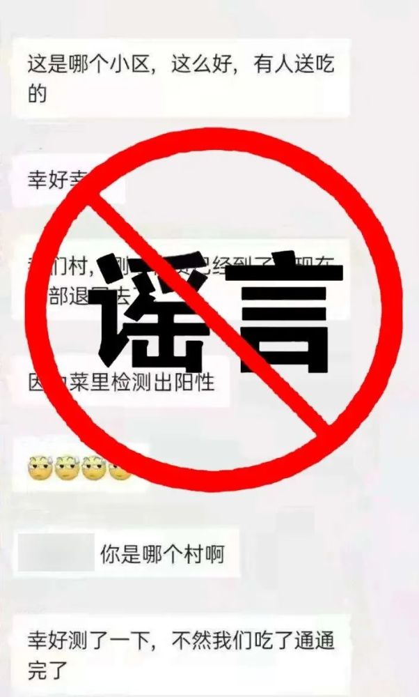 浙江最新疫情動態(tài)，小巷中的獨特發(fā)現(xiàn)與更新報告