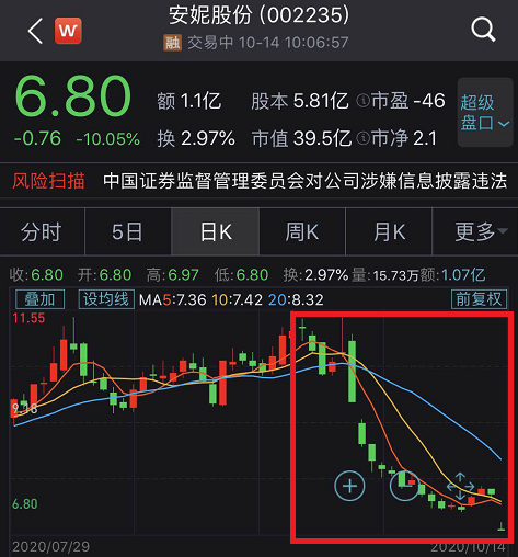安妮股份最新動態，引領行業步伐與時代領航者