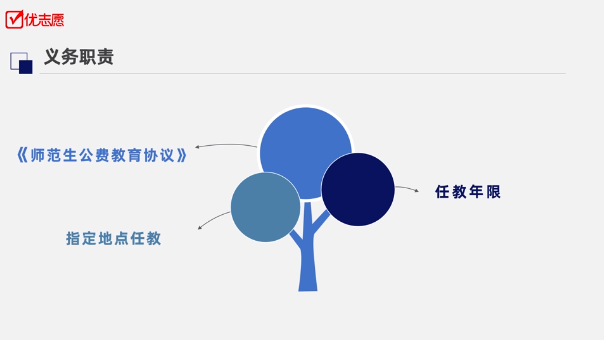 最新兩免一補政策解讀，全面解析政策細節與影響