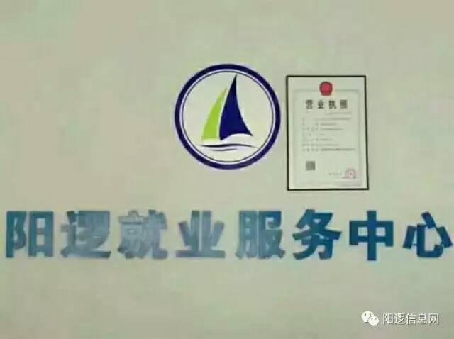 陽邏2025招聘信息，職場路上的小幸運與友情之花盛開的故事揭秘