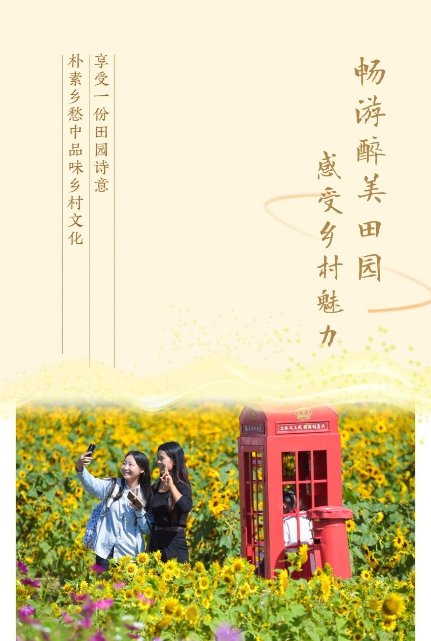 現代農村復雜情感與人性的多維展現——最新鄉村情感章節