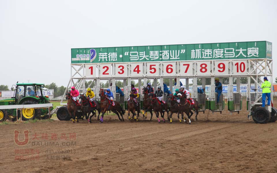 萊德馬業最新動態，引領行業創新與發展風潮