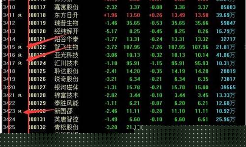 股票R的意思，初識股市的溫馨初體驗