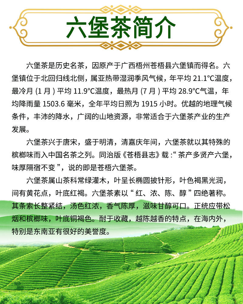 廣西梧州六堡茶價格深度解析與探討，市場行情、品質與價值探討