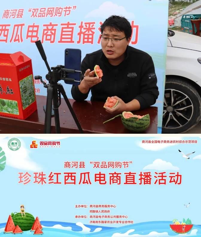 濟南西瓜價格行情分析
