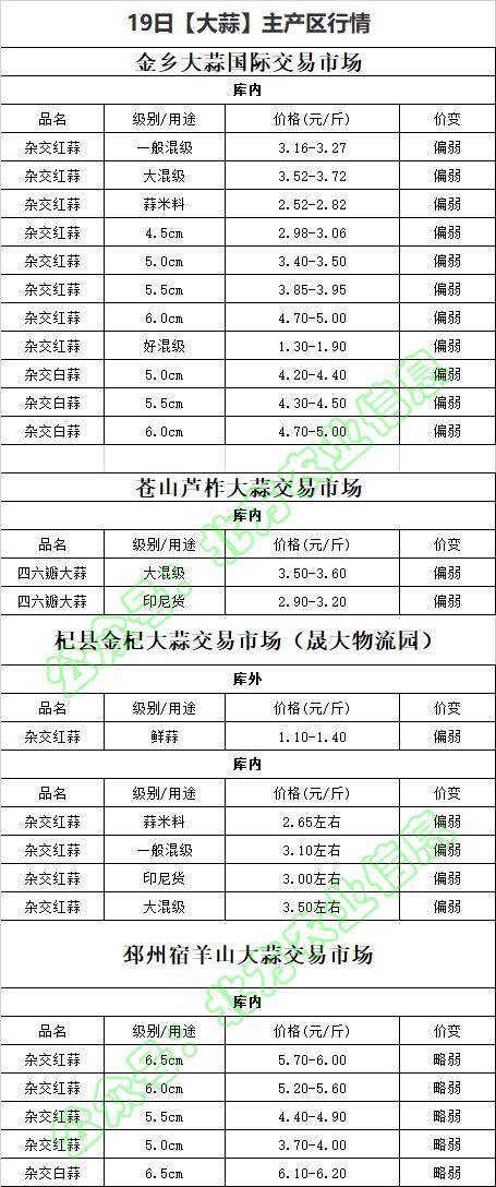 永年大蒜最新行情及奇妙物語(yǔ)，蒜香中的溫情與陪伴之旅