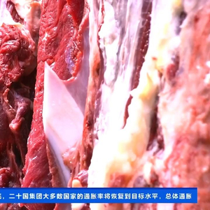 最新牛肉價格及小巷深處的牛肉風味探秘