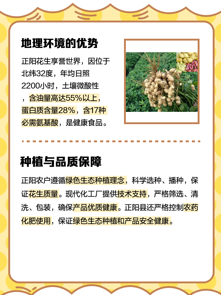 正陽花生米最新售價，一場自然美景之旅，探尋內(nèi)心寧靜的喜悅