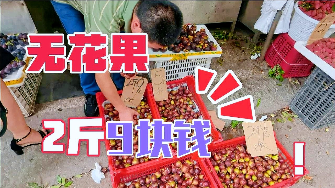 科技前沿的智能無花果價(jià)格系統(tǒng)，重塑生活，未來價(jià)格之旅