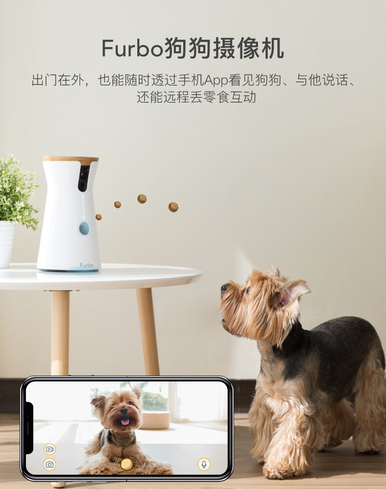 最新智能狗，科技寵物的革命性突破