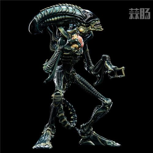 深度揭秘，宇宙奇異生命形態——最新異形信息解析