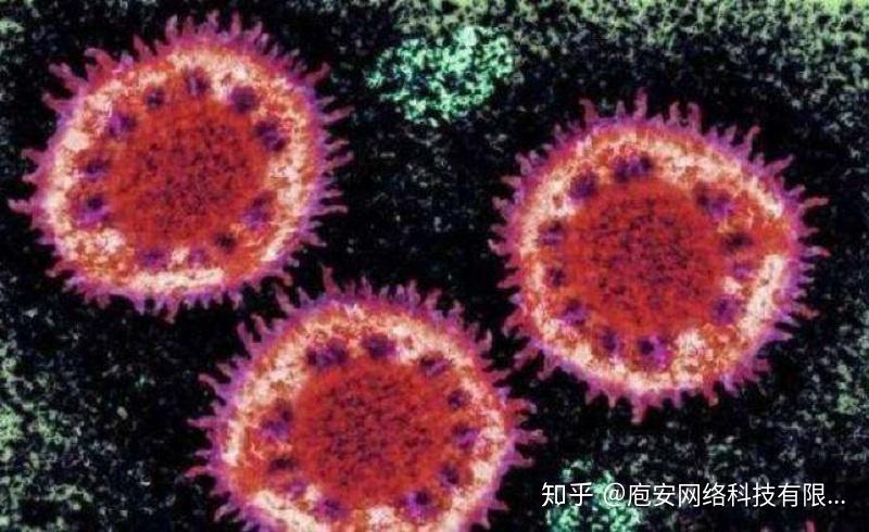 冠狀病毒的最新狀況更新