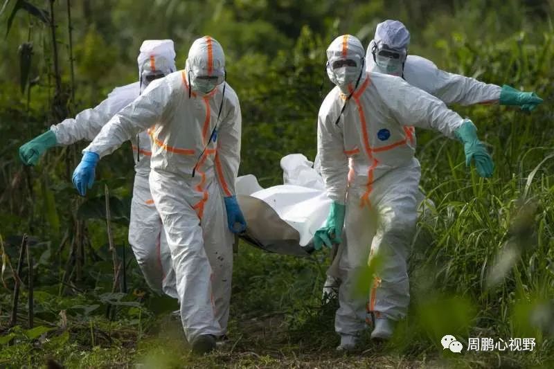 疫情最新突變下的自然美景治愈之旅