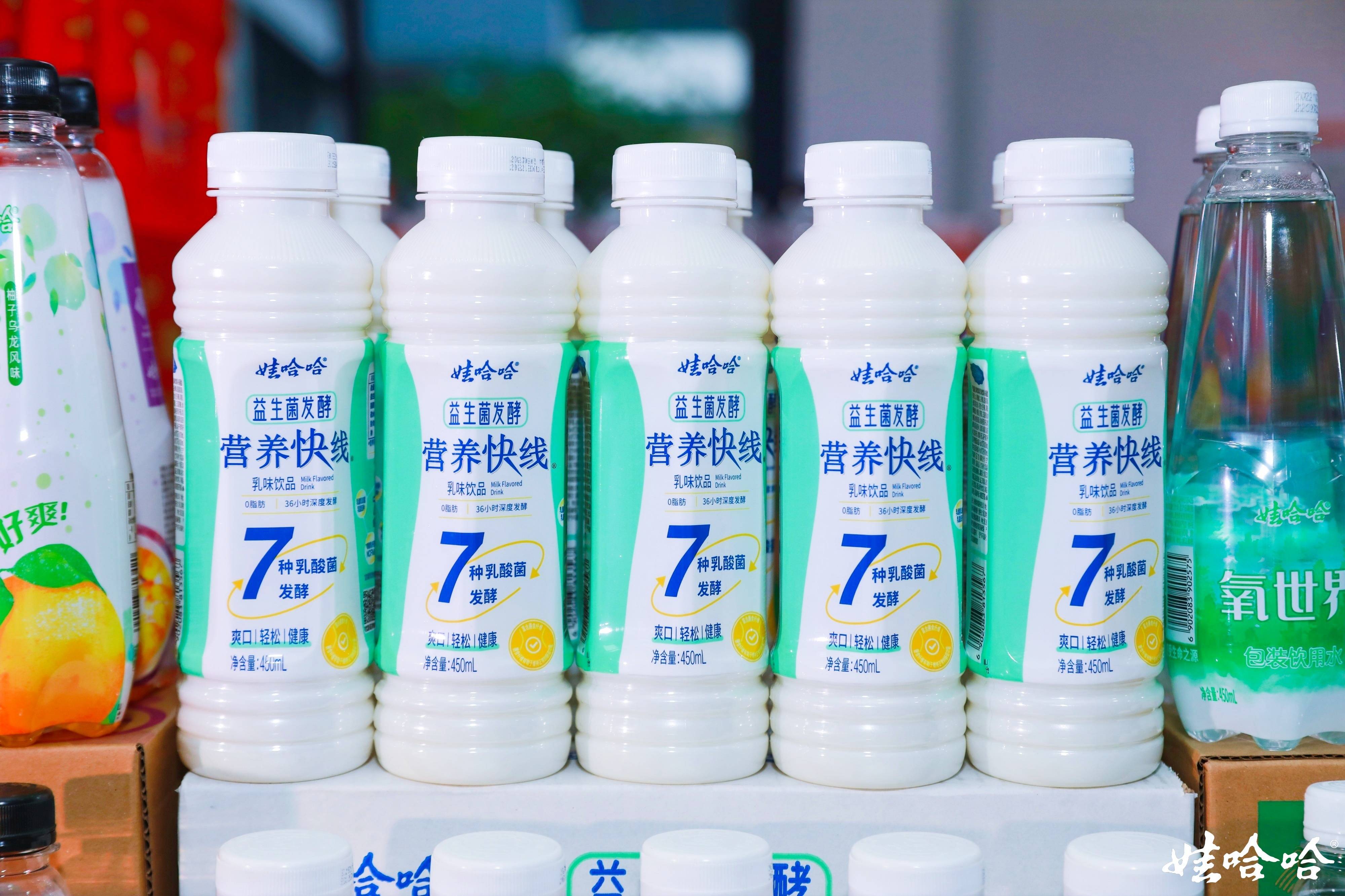 最新娃哈哈任務或技能學習指南，從初學者到進階用戶的詳細步驟指南