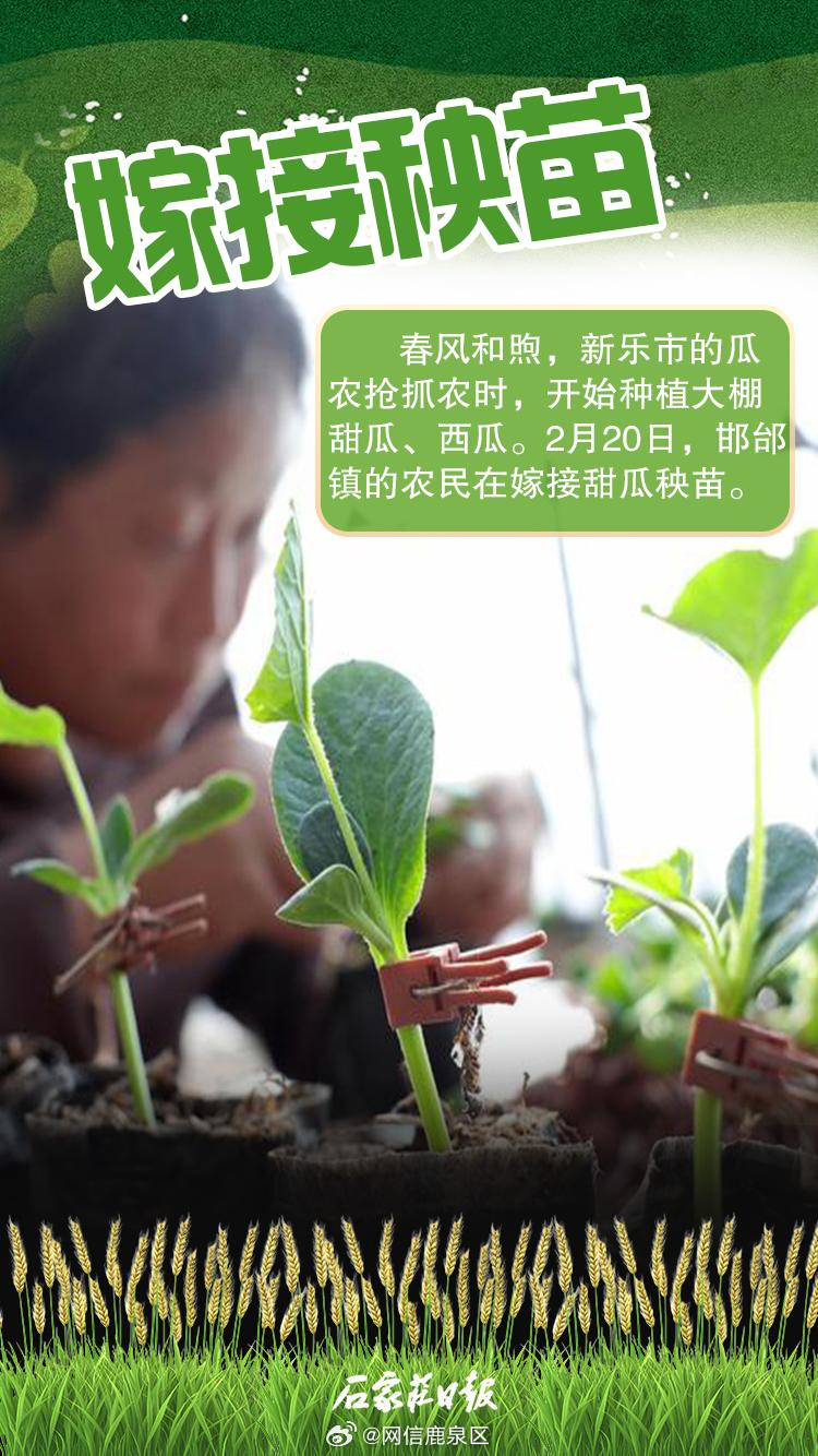 輕質(zhì)建筑材料銷售 第17頁