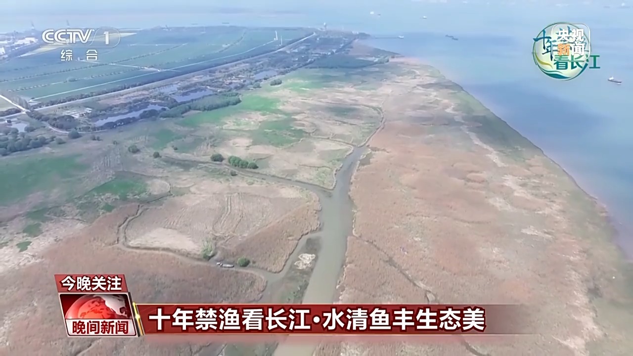 長江保護最新步驟指南，全面守護長江生態安全之道