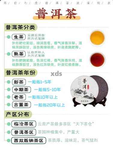 最新普洱泡茶與品鑒指南，從茶葉到茶杯的詳細(xì)步驟解析