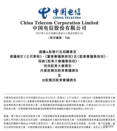 最新公告背后的溫馨趣事揭秘