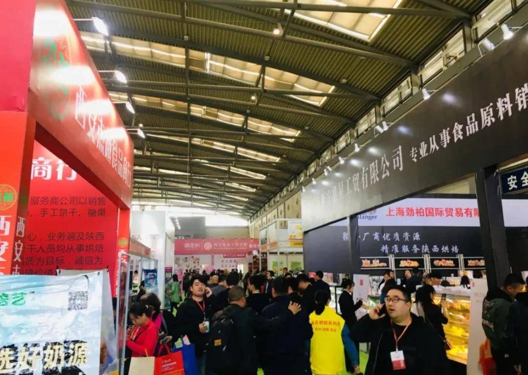 西安最新科技展，未來生活預覽，科技盛宴開啟