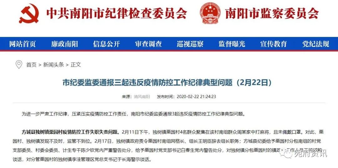 南陽最新通報，城市發展的脈搏與時代印記同步前行